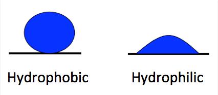 Hydrophobic