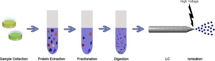 Reagent purification and sterilization