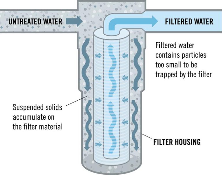 Capsule Filters Vs. Cartridge Filters What's The Difference? Sanitek