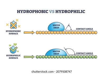 Hydrophilic and Hydrophobic Filters